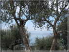 foto Lago di Garda